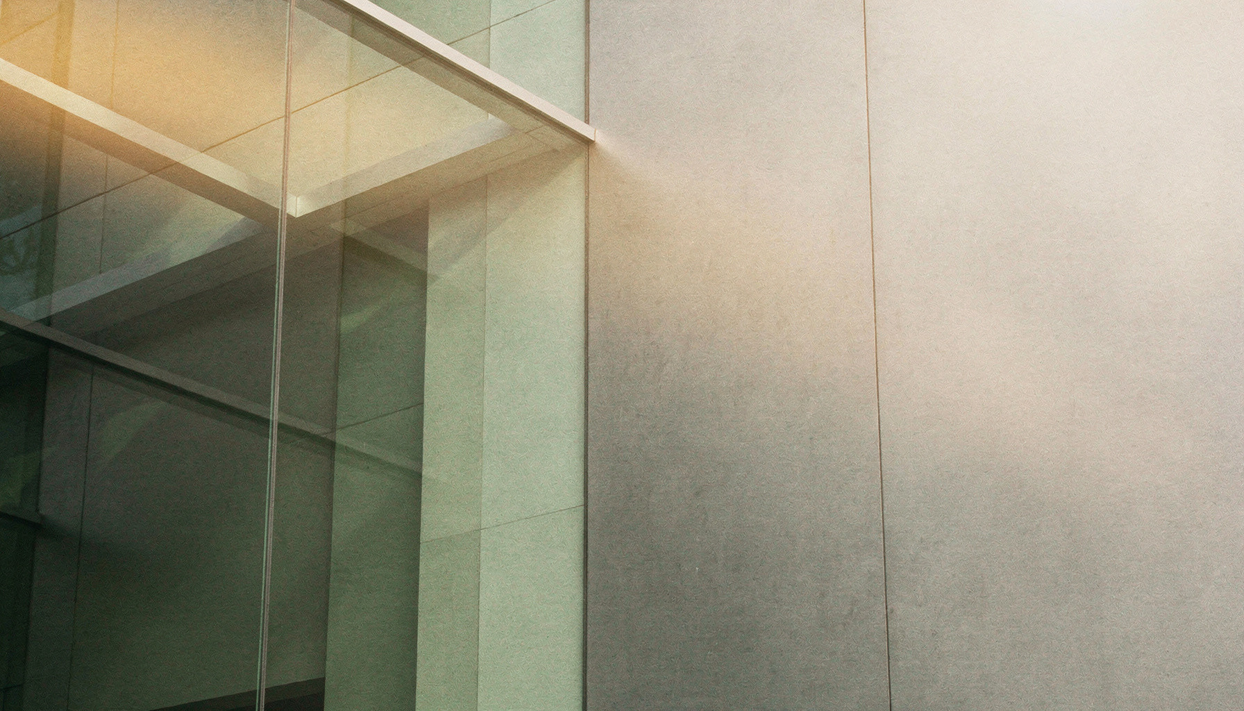 Welltrace Insurance Co San Diego website preview